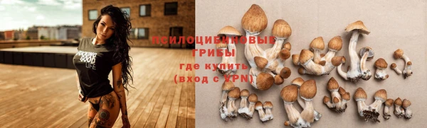 шишки Аркадак