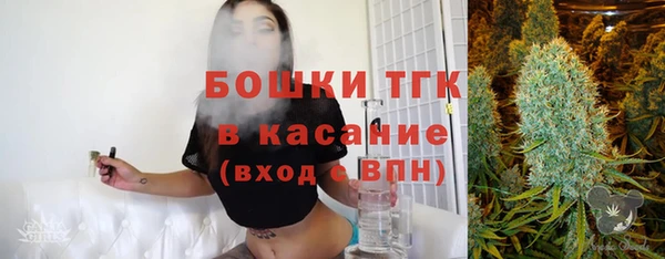 шишки Аркадак