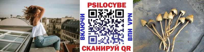 где купить наркоту  Оленегорск  Псилоцибиновые грибы GOLDEN TEACHER 